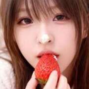 ヒメ日記 2026/02/05 15:30 投稿 ほのか 石庭