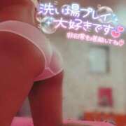 ヒメ日記 2026/02/08 10:36 投稿 ほのか 石庭