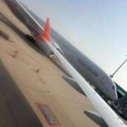 ヒメ日記 2026/02/13 19:20 投稿 ほのか 石庭