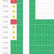 ヒメ日記 2026/02/14 09:50 投稿 ほのか 石庭