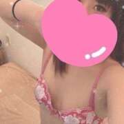 ヒメ日記 2026/02/16 20:50 投稿 ほのか 石庭