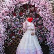 ヒメ日記 2026/02/17 12:50 投稿 ほのか 石庭