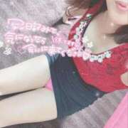 ヒメ日記 2026/02/18 11:40 投稿 ほのか 石庭