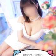 ヒメ日記 2026/02/19 17:30 投稿 ほのか 石庭