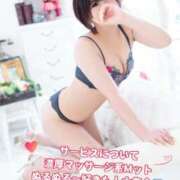 ヒメ日記 2026/02/20 10:31 投稿 ほのか 石庭