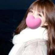 ヒメ日記 2026/02/24 12:30 投稿 ほのか 石庭