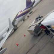 ヒメ日記 2026/03/02 11:30 投稿 ほのか 石庭