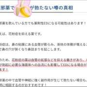 ヒメ日記 2026/03/06 09:50 投稿 ほのか 石庭