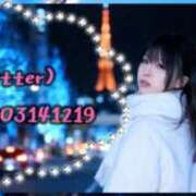 ヒメ日記 2026/03/06 13:25 投稿 ほのか 石庭