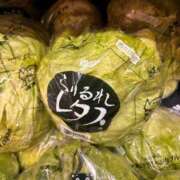 ヒメ日記 2026/03/07 07:45 投稿 ゆきな【大人女子】 Select(セレクト)