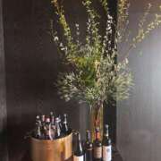 ヒメ日記 2026/03/20 12:06 投稿 ゆきな【大人女子】 Select(セレクト)