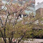 ヒメ日記 2026/03/31 17:45 投稿 ゆきな【大人女子】 Select(セレクト)