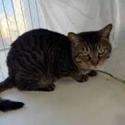 ヒメ日記 2026/03/02 23:46 投稿 なつみ エマニエル秋葉原