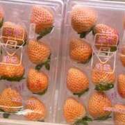 ヒメ日記 2026/02/05 11:59 投稿 ふうか 黒ストッキングとちくび新宿店