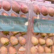 ヒメ日記 2026/02/17 18:48 投稿 ふうか 黒ストッキングとちくび新宿店