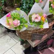 ヒメ日記 2026/02/22 09:23 投稿 ふうか 黒ストッキングとちくび新宿店