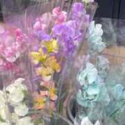 ヒメ日記 2026/03/28 07:28 投稿 ふうか 黒ストッキングとちくび新宿店