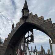 ヒメ日記 2026/02/24 20:03 投稿 ゆうき シルクハット