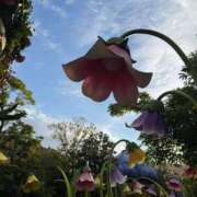 ヒメ日記 2026/02/25 19:44 投稿 ゆうき シルクハット