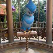 ヒメ日記 2026/02/26 20:14 投稿 ゆうき シルクハット