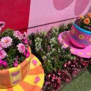 ヒメ日記 2026/03/09 21:22 投稿 ゆうき シルクハット