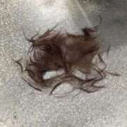 ヒメ日記 2026/04/07 21:41 投稿 ゆうき シルクハット