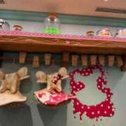 ヒメ日記 2026/04/20 13:19 投稿 ゆうき シルクハット