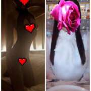 ヒメ日記 2026/02/12 07:47 投稿 ゆりえ 西船人妻花壇