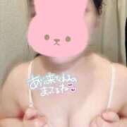 ヒメ日記 2026/02/20 22:42 投稿 まこ 白いぽっちゃりさん