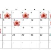 ヒメ日記 2026/02/06 12:08 投稿 かいり 横浜ひよこ倶楽部