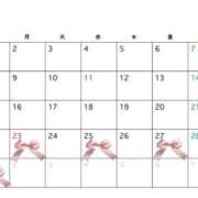 ヒメ日記 2026/02/20 18:06 投稿 かいり 横浜ひよこ倶楽部