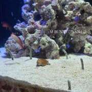 ヒメ日記 2026/04/18 21:17 投稿 ナナ【SSR級推しフラグ】 ドＭなバニーちゃん小倉店