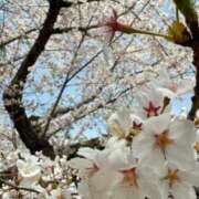 タルト・SP 入力中… アニバーサリー