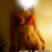 ゆり 明日最終日‼️ 水戸人妻花壇