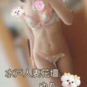 ゆり 明日も🩷 水戸人妻花壇