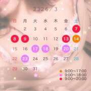 ヒメ日記 2026/03/08 08:55 投稿 工藤いと コウテイ