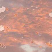 ヒメ日記 2026/10/04 06:41 投稿 そら プレミアム(福原)