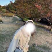 ヒメ日記 2026/02/11 08:25 投稿 あも♡極上SPコース♡ PANTHER（パンサー）