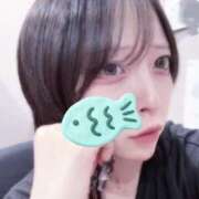 ヒメ日記 2026/08/19 00:03 投稿 れんか スピード難波店