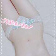 ヒメ日記 2026/02/27 11:44 投稿 せれな 金瓶梅(きんぺいぱい)(雄琴)