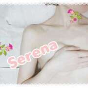 ヒメ日記 2026/03/08 12:34 投稿 せれな 金瓶梅(きんぺいぱい)(雄琴)