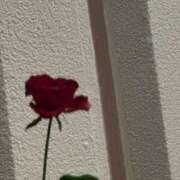 茜うみ ·͜·ᰔᩚ Claris Tokyo～クラリス東京～