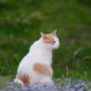 ヒメ日記 2026/02/13 11:00 投稿 千香(ちか) 高知デリヘル倶楽部 人妻熟女専門店