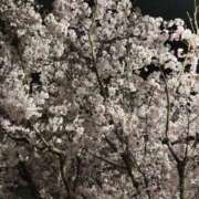 ヒメ日記 2026/03/28 09:12 投稿 桐原りな(きりはらりな) 東京ヒストリー　秘密の約束