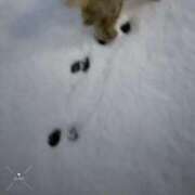 ヒメ日記 2026/02/09 21:40 投稿 藤ヶ谷るる ゴールドクイーン