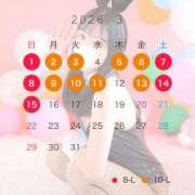 ヒメ日記 2026/02/20 13:22 投稿 しの 恋するバニー