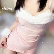 ヒメ日記 2026/02/21 20:02 投稿 しの 恋するバニー