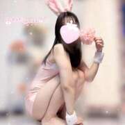 ヒメ日記 2026/02/24 09:13 投稿 しの 恋するバニー