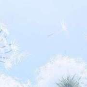 ヒメ日記 2026/03/11 18:21 投稿 北川みこ マドンナの誘惑