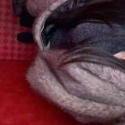 翠（すい） 魔法✨おおきくなーれ！ 人妻の蜜